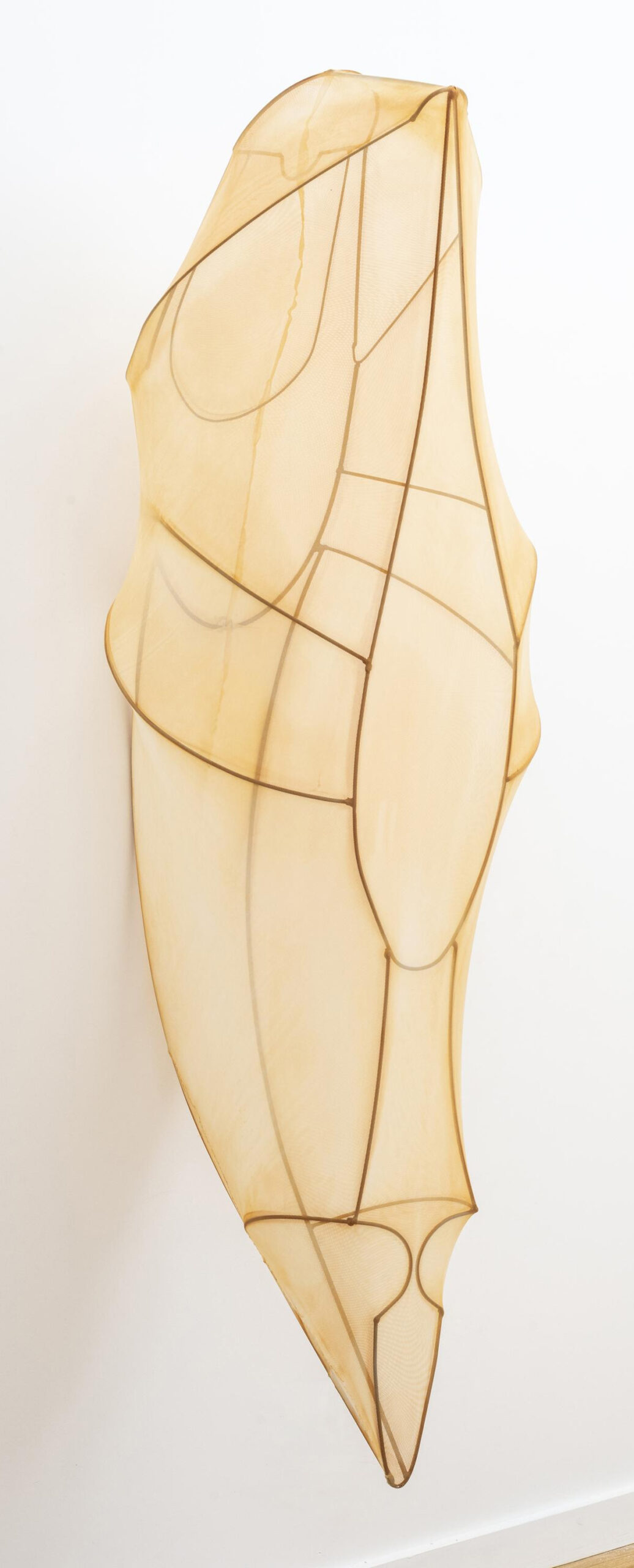 Encyclia Imagosis by Rosemary Holliday Hall