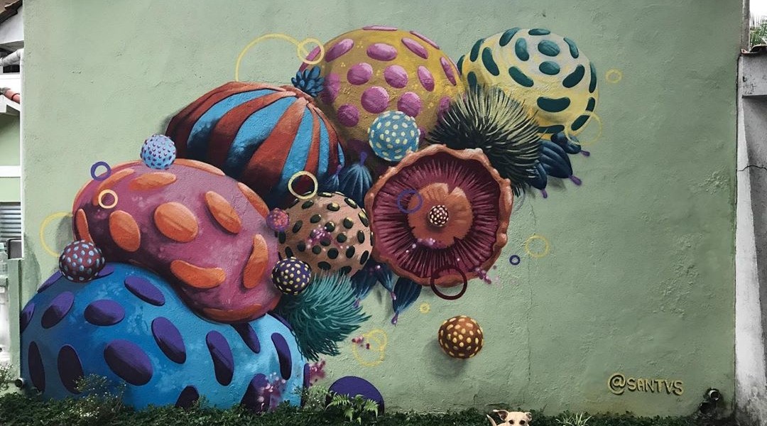 SANTVS @ Sao Paulo, Brazil