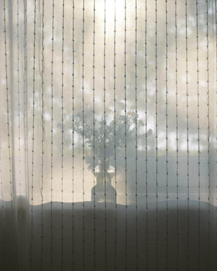 The bright shadow by Marietta Varga