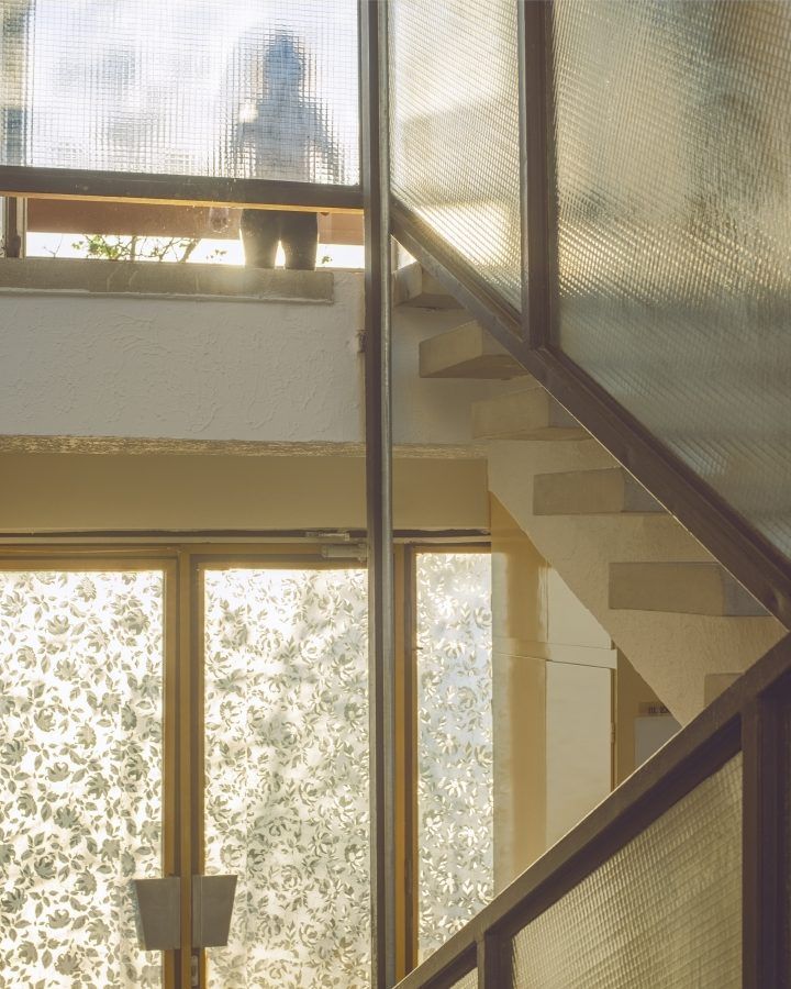 The bright shadow by Marietta Varga