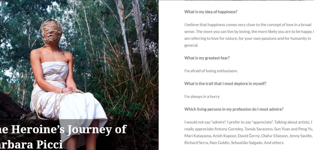 The Heroine's Journey - Barbara Picci