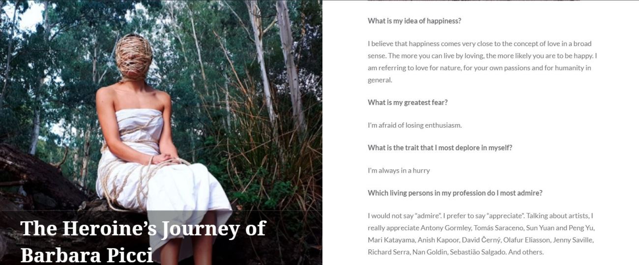 The Heroine's Journey - Barbara Picci