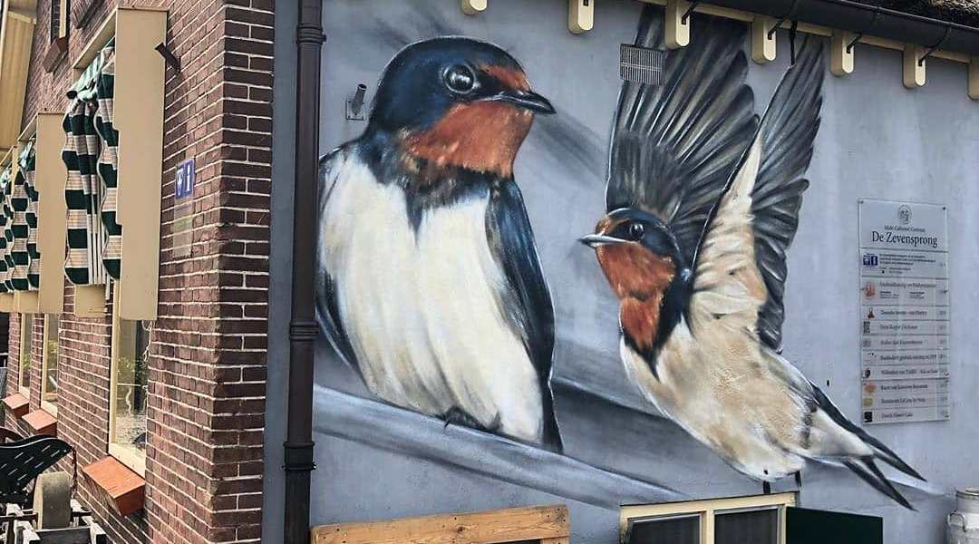 VijfB @ Nieuwkoop, Netherlands