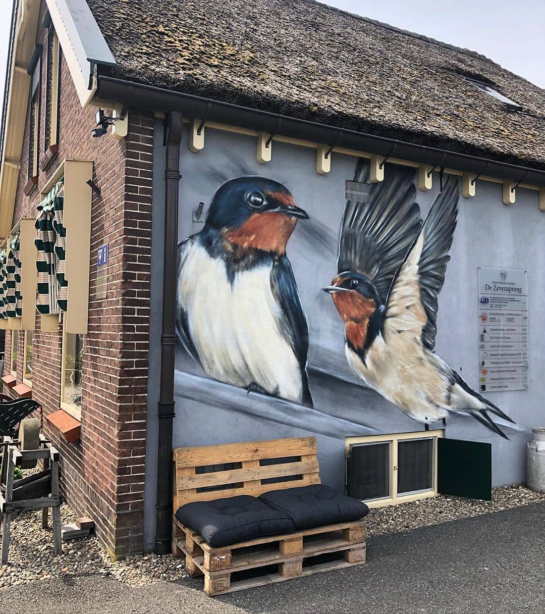 VijfB @ Nieuwkoop, Netherlands