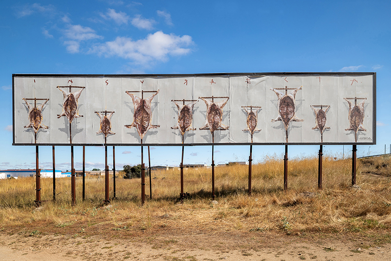 Insurrecta by Borondo. Photo by Roberto Conte