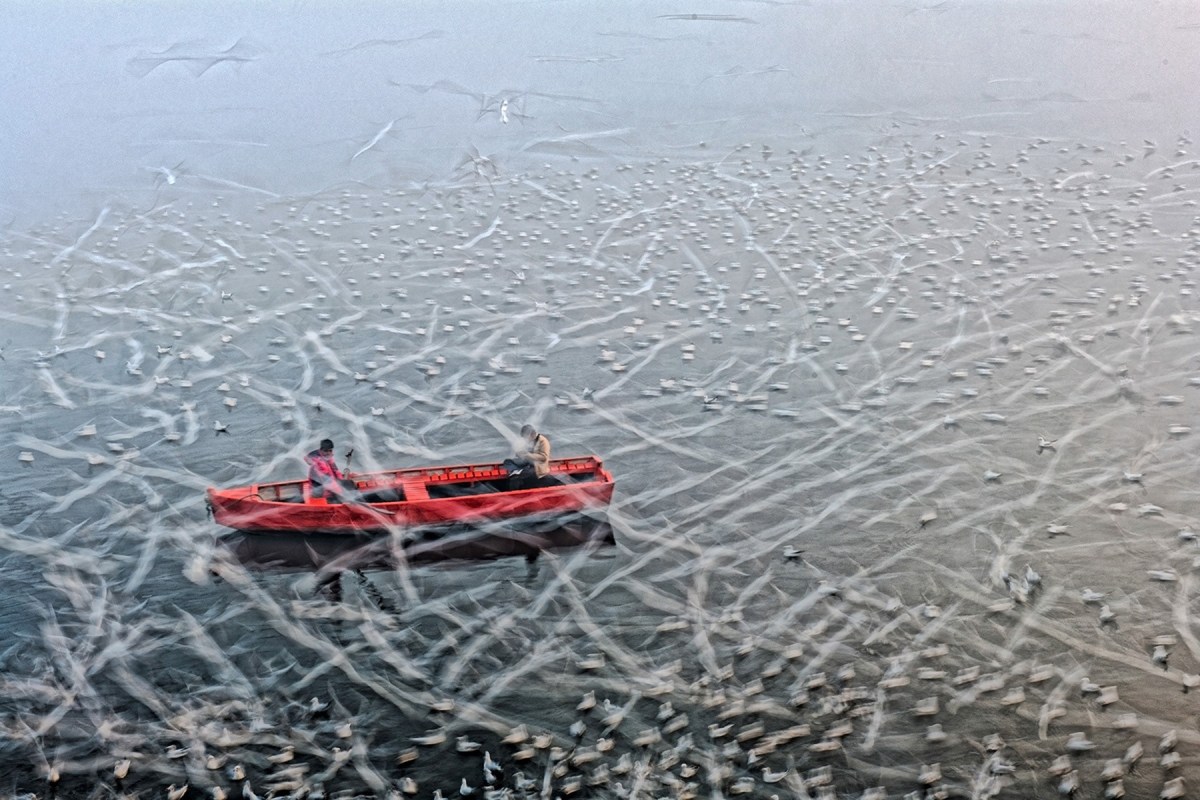 Long Live the River by Sankar Sridhar