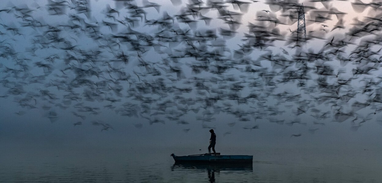 Long Live the River by Sankar Sridhar