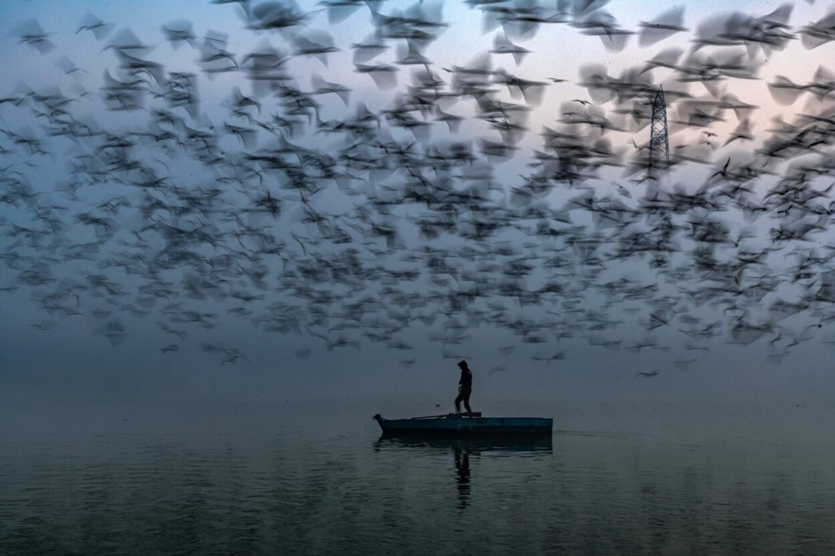 Long Live the River by Sankar Sridhar