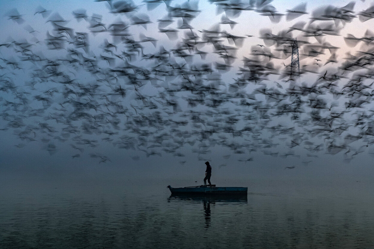 Long Live the River by Sankar Sridhar