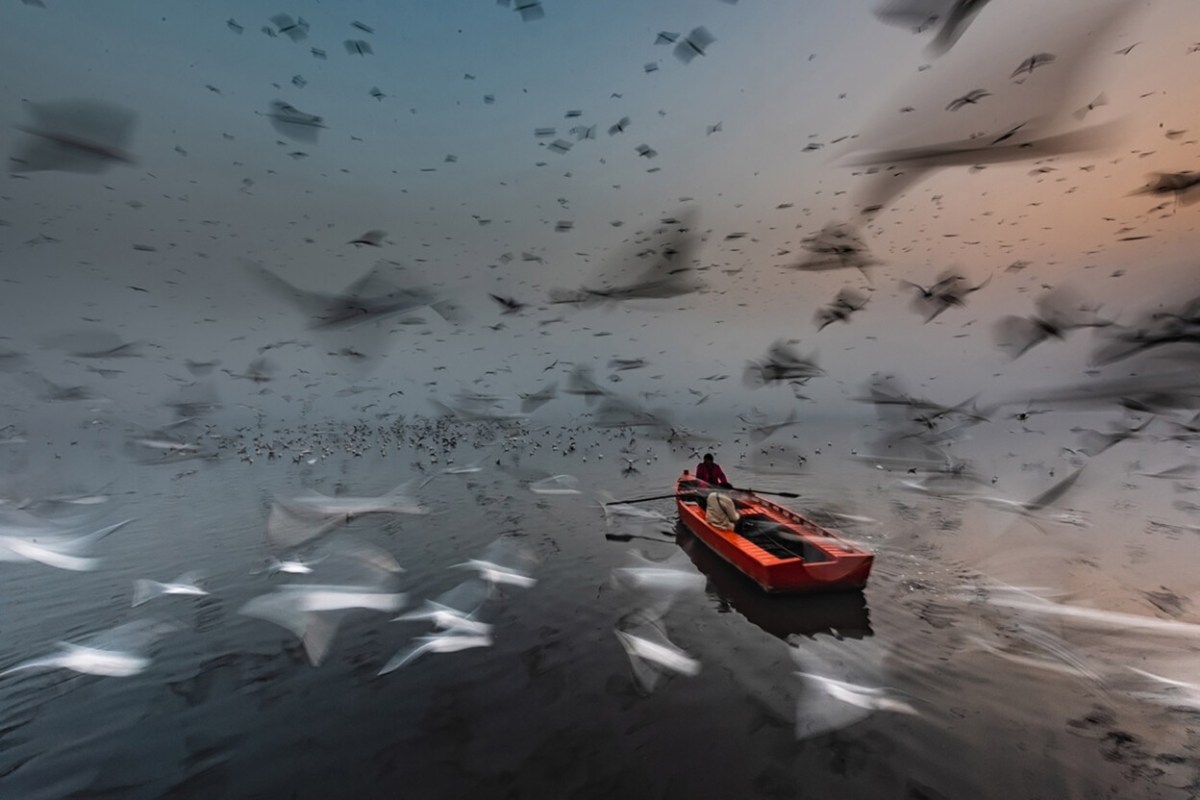 Long Live the River by Sankar Sridhar