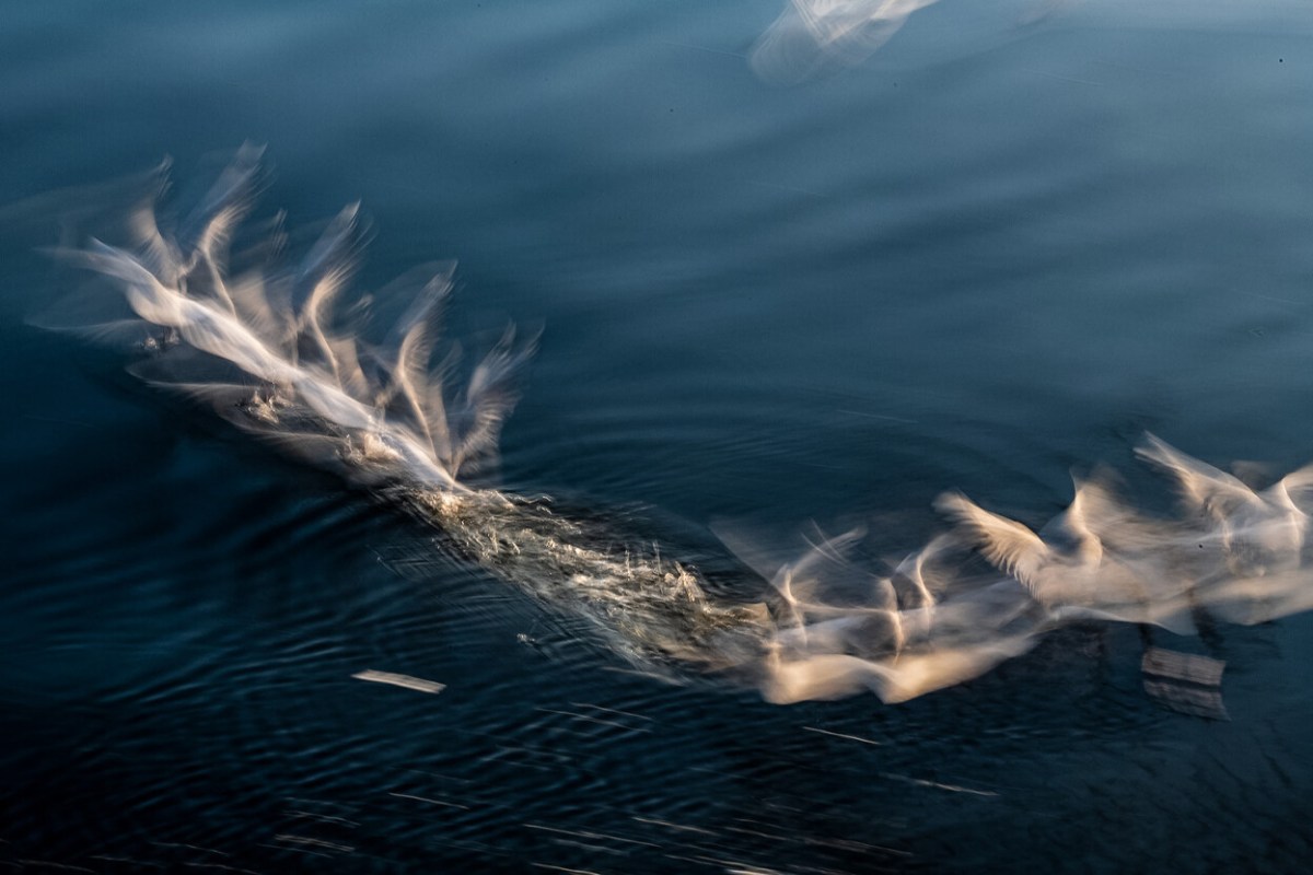 Long Live the River by Sankar Sridhar