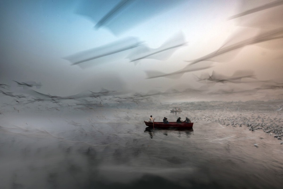 Long Live the River by Sankar Sridhar