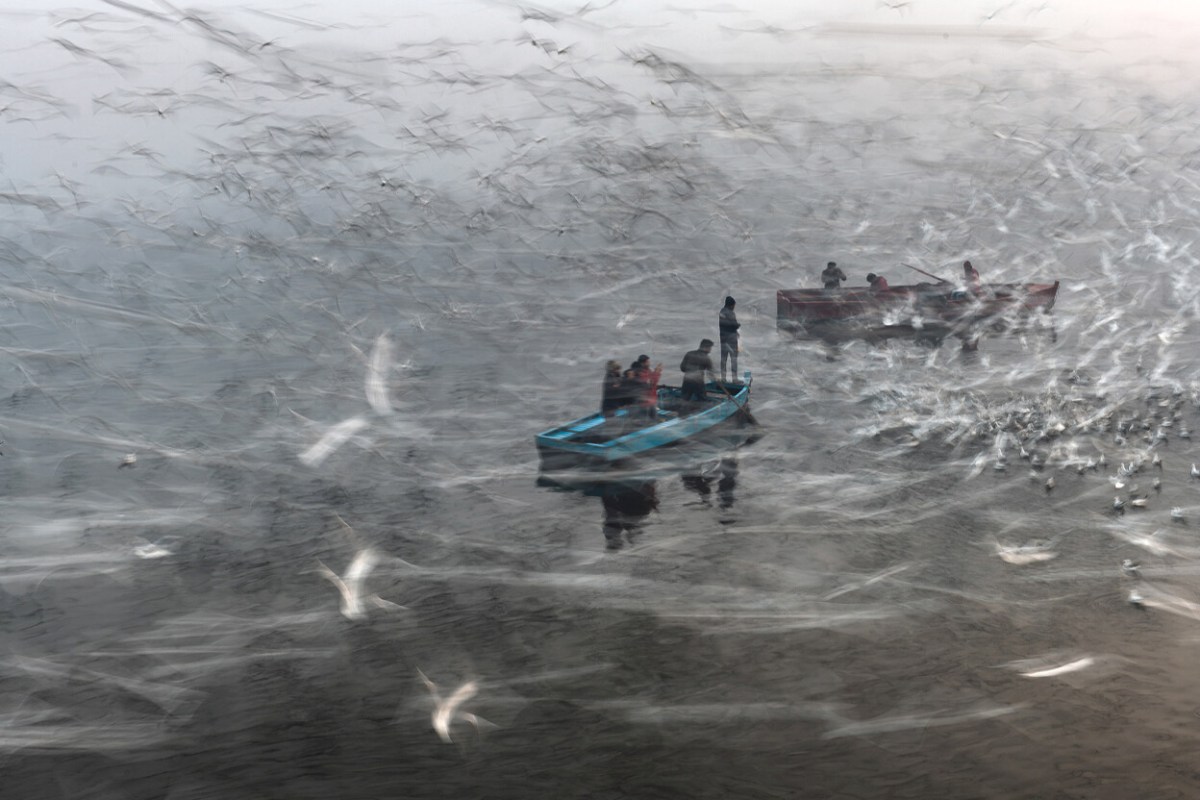 Long Live the River by Sankar Sridhar