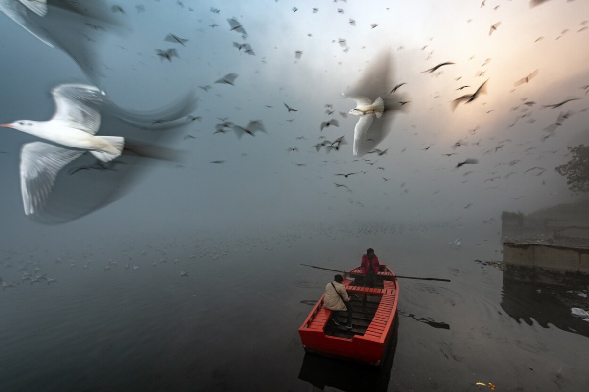 Long Live the River by Sankar Sridhar