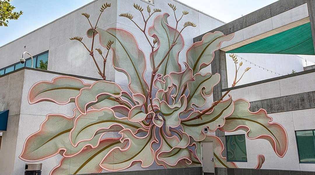 Mona Caron @ San Jose, USA