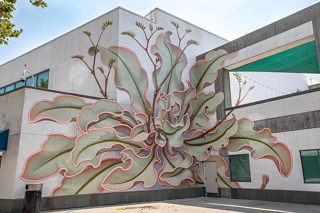 Mona Caron @ San Jose, USA