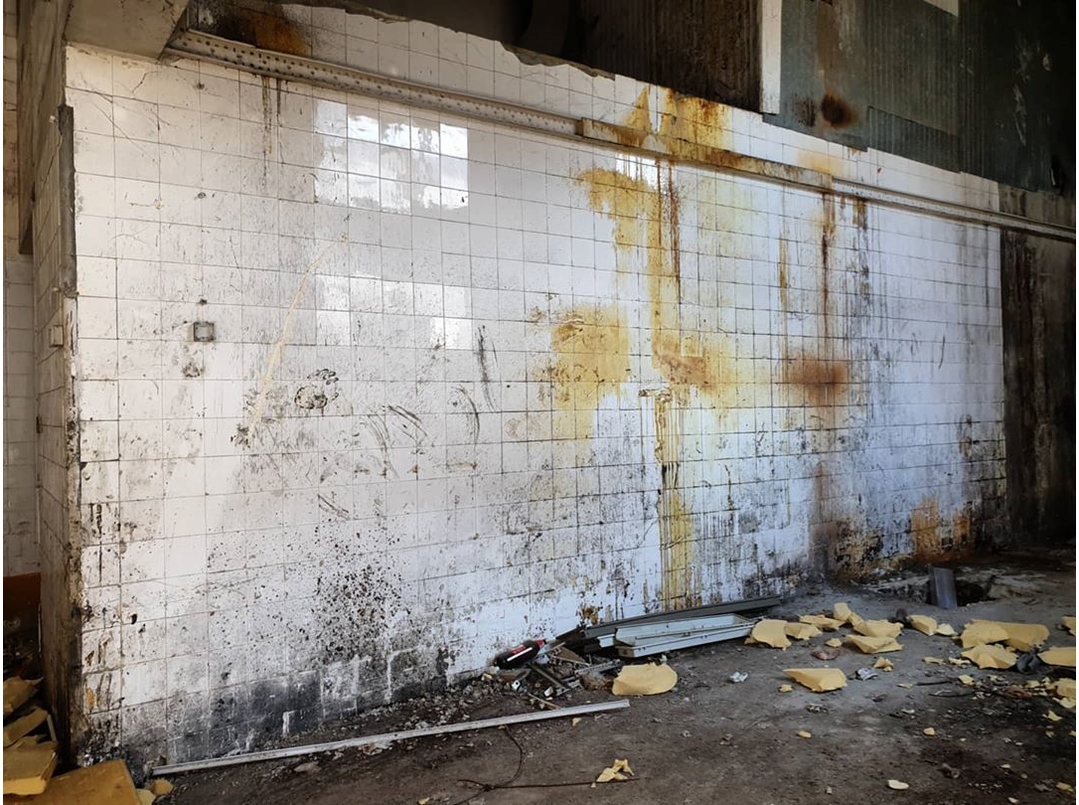 Street art by Vile (Before)