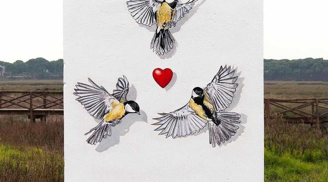 Wild Welva @ Huelva, Spain