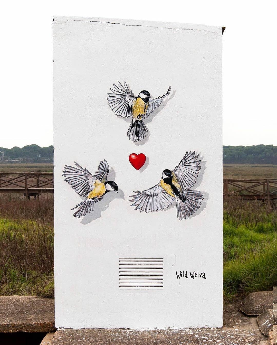 Wild Welva @ Huelva, Spain