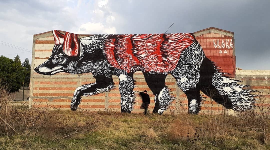 Vlocke @ San Andrés Cholula, Puebla, Mexico