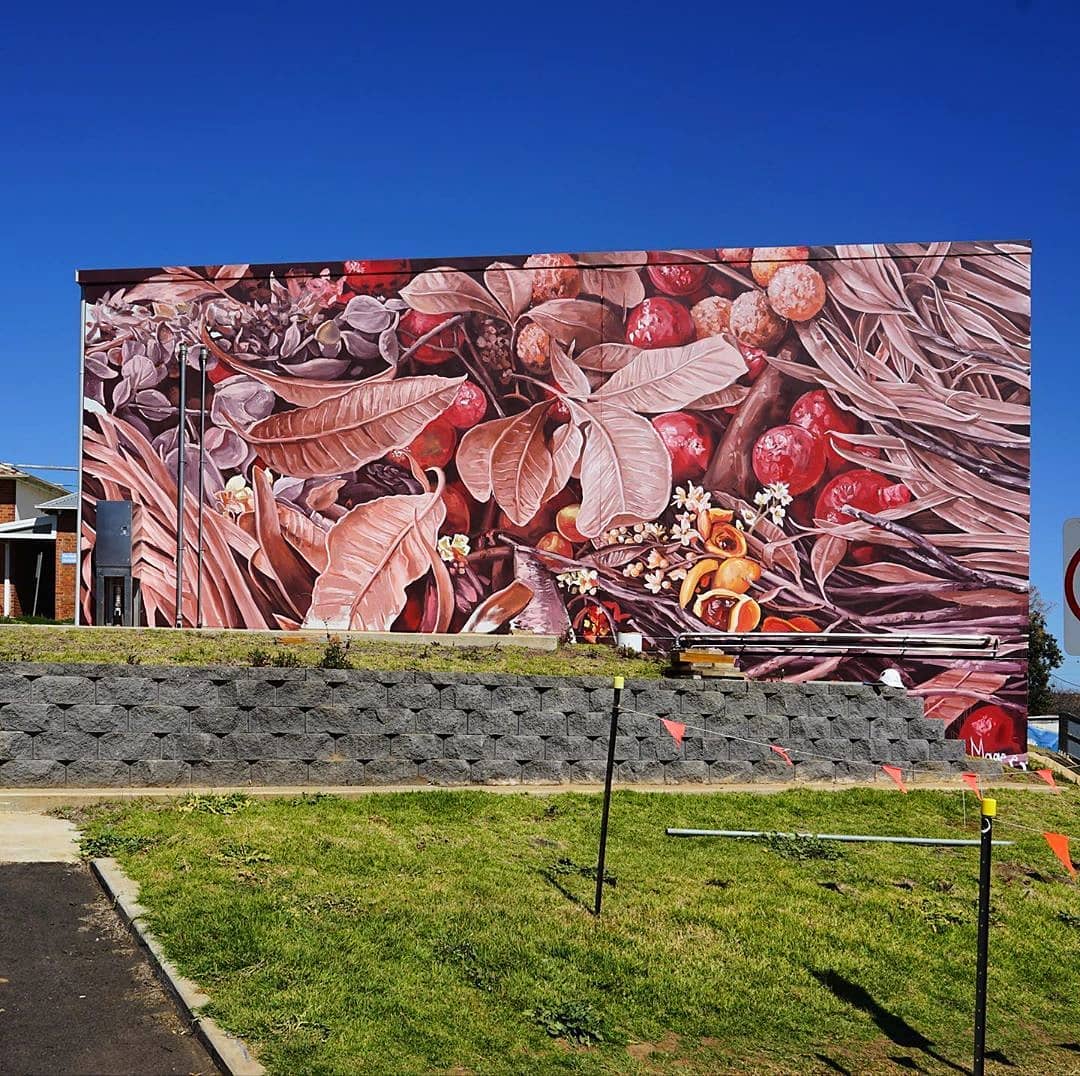 Fintan Magee @ Dubbo, Australia