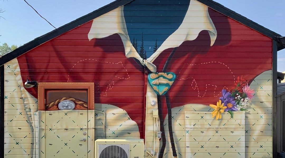 Kohin @ Saratoga, USA