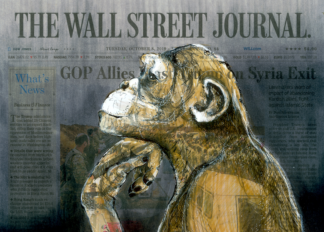 Monkey Businesses © Lisa Törner