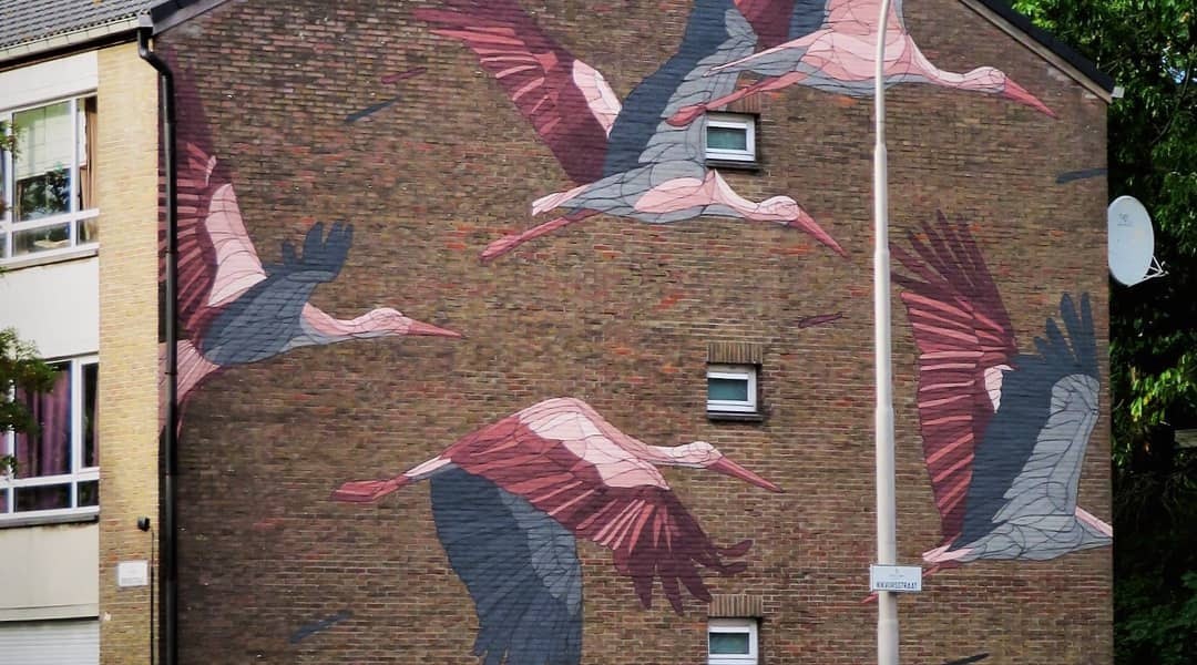 Taquen @ Ghent, Belgium