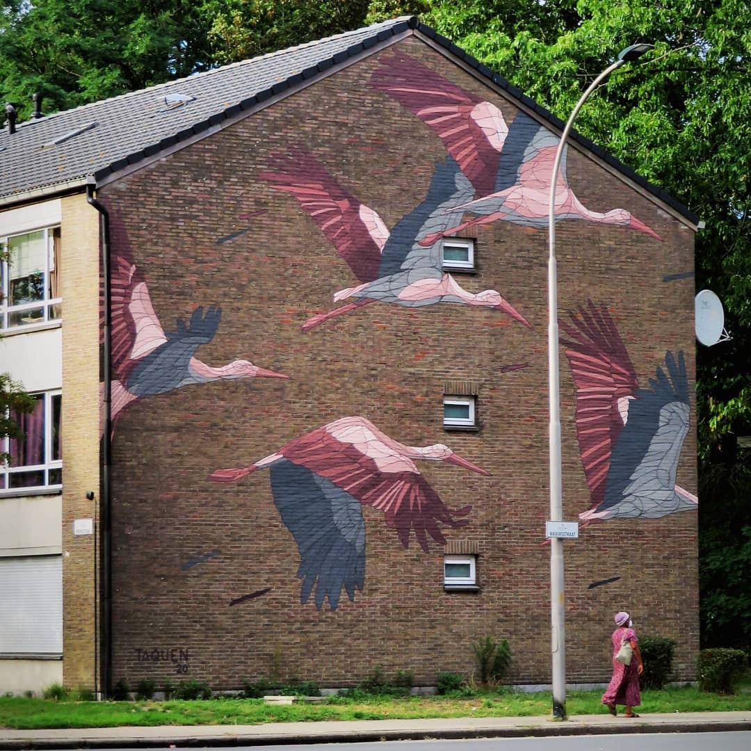 Taquen @ Ghent, Belgium