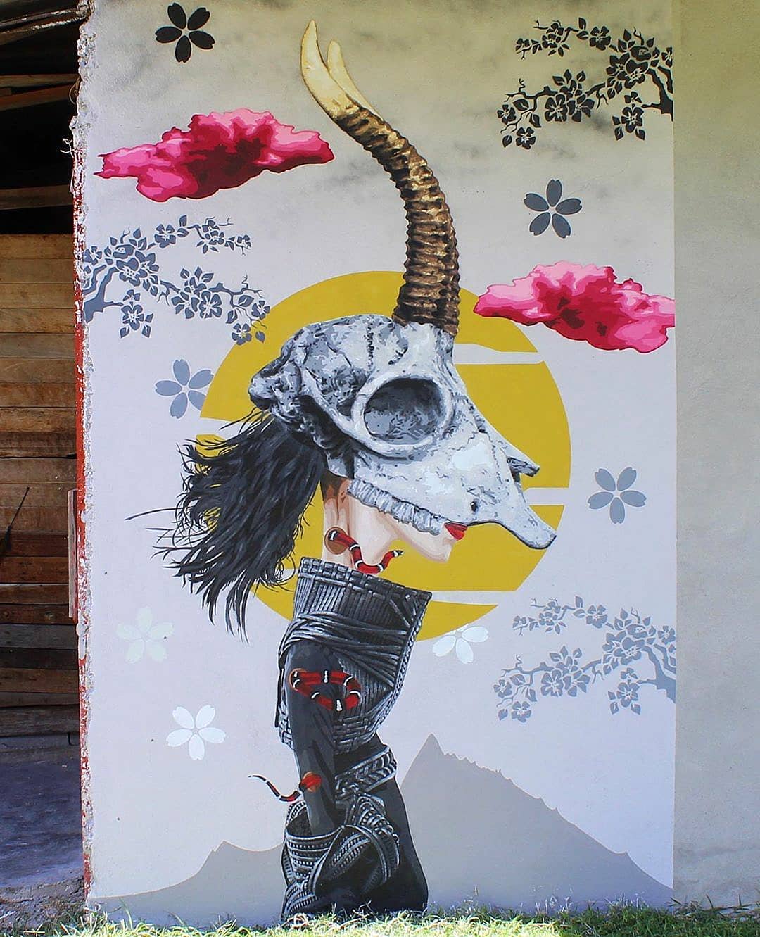 Funky Cook @ San Miguel Tlaixpan, Mexico Funky Cook @ San Miguel Tlaixpan, Mexico