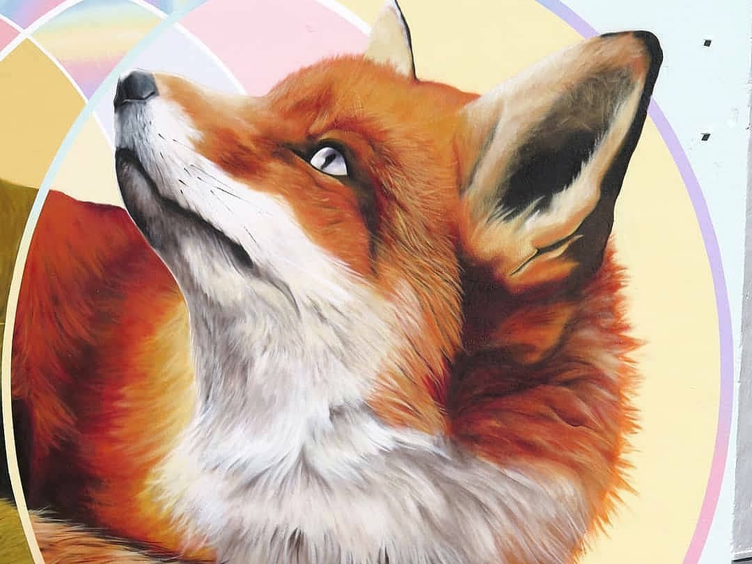 J.M. Brea @ Losar de la Vera, Spain