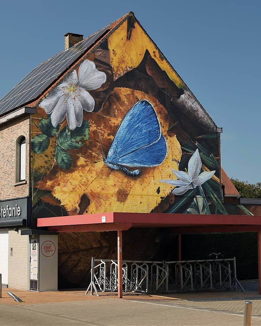 Mantra @ Wevelgem, Belgium