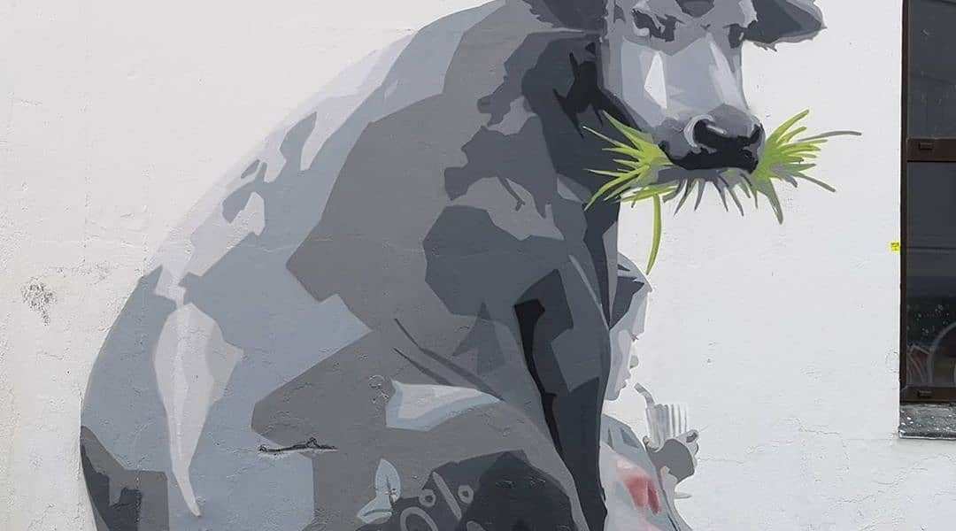 AFK @ Bergen, Norway