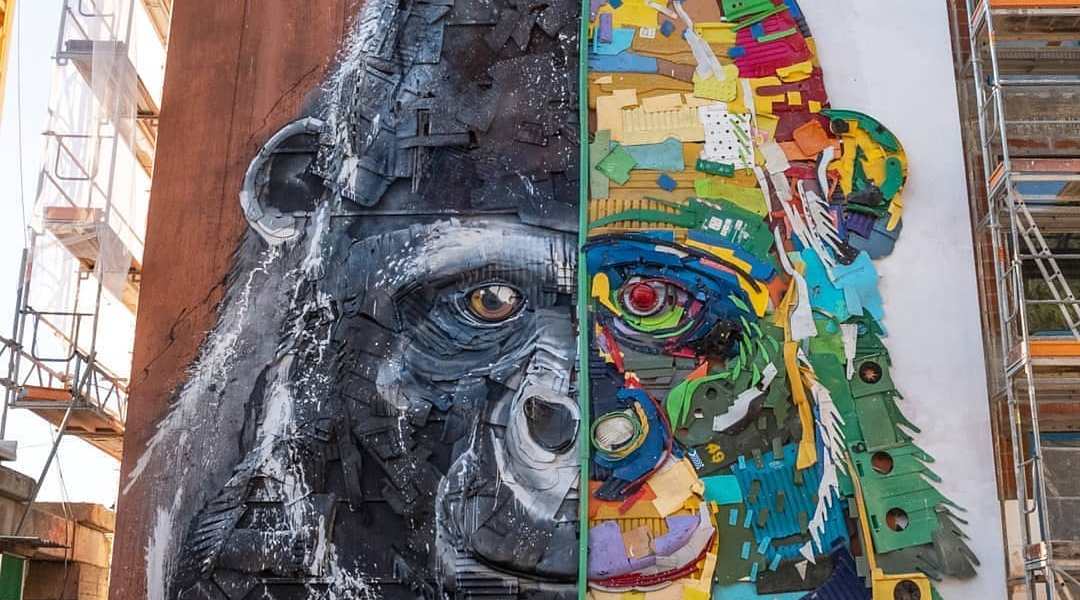 Bordalo II @ Coimbra, Portugal