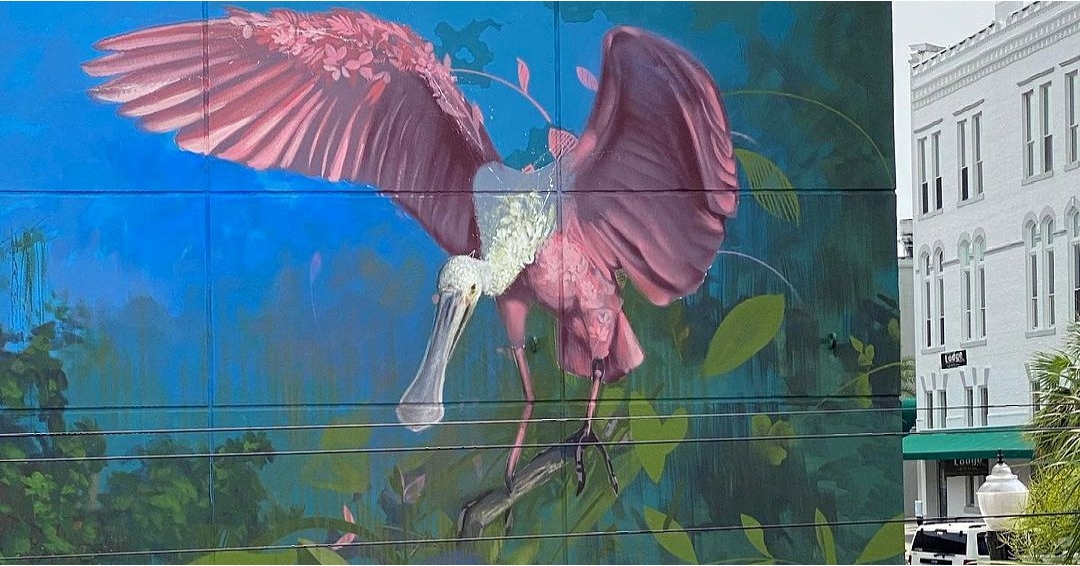 Ernesto Maranje @ Ocala, USA