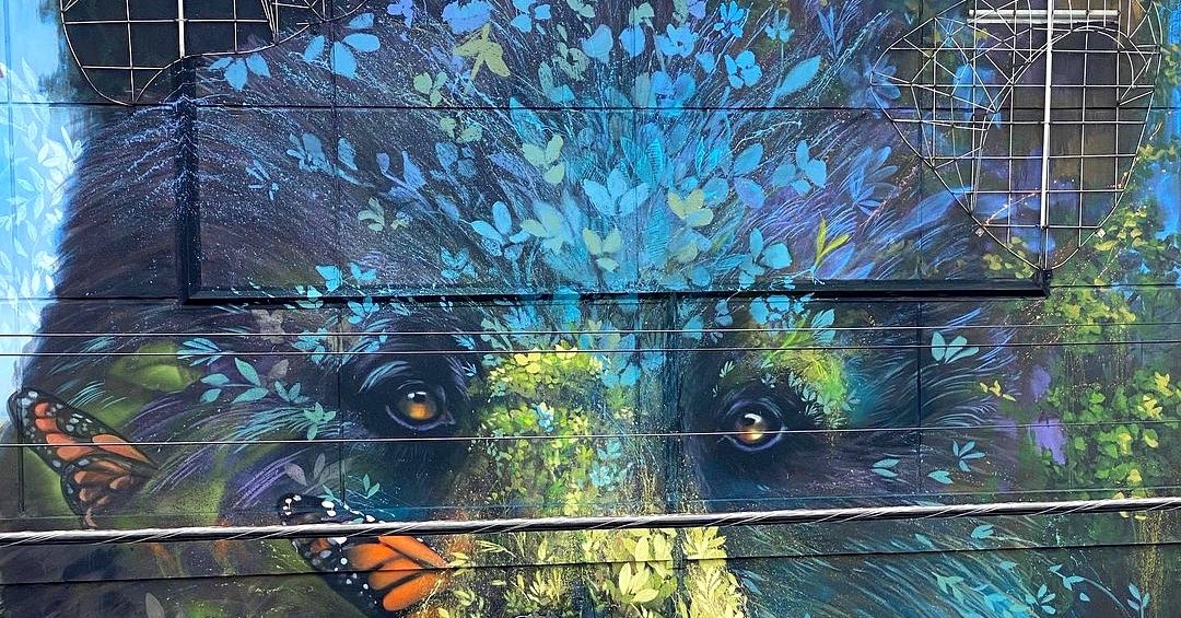 Ernesto Maranje @ Ocala, USA