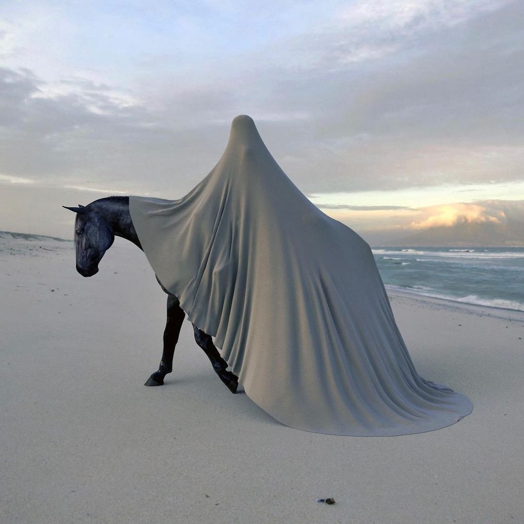 Photography - "The Bride II" by Grégoire A. Meyer