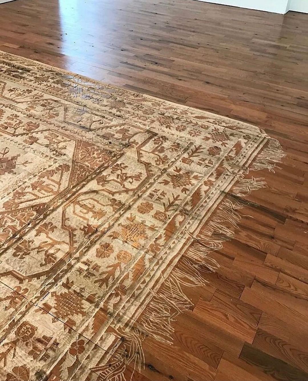 Tappeto intagliato di Selva Aparicio