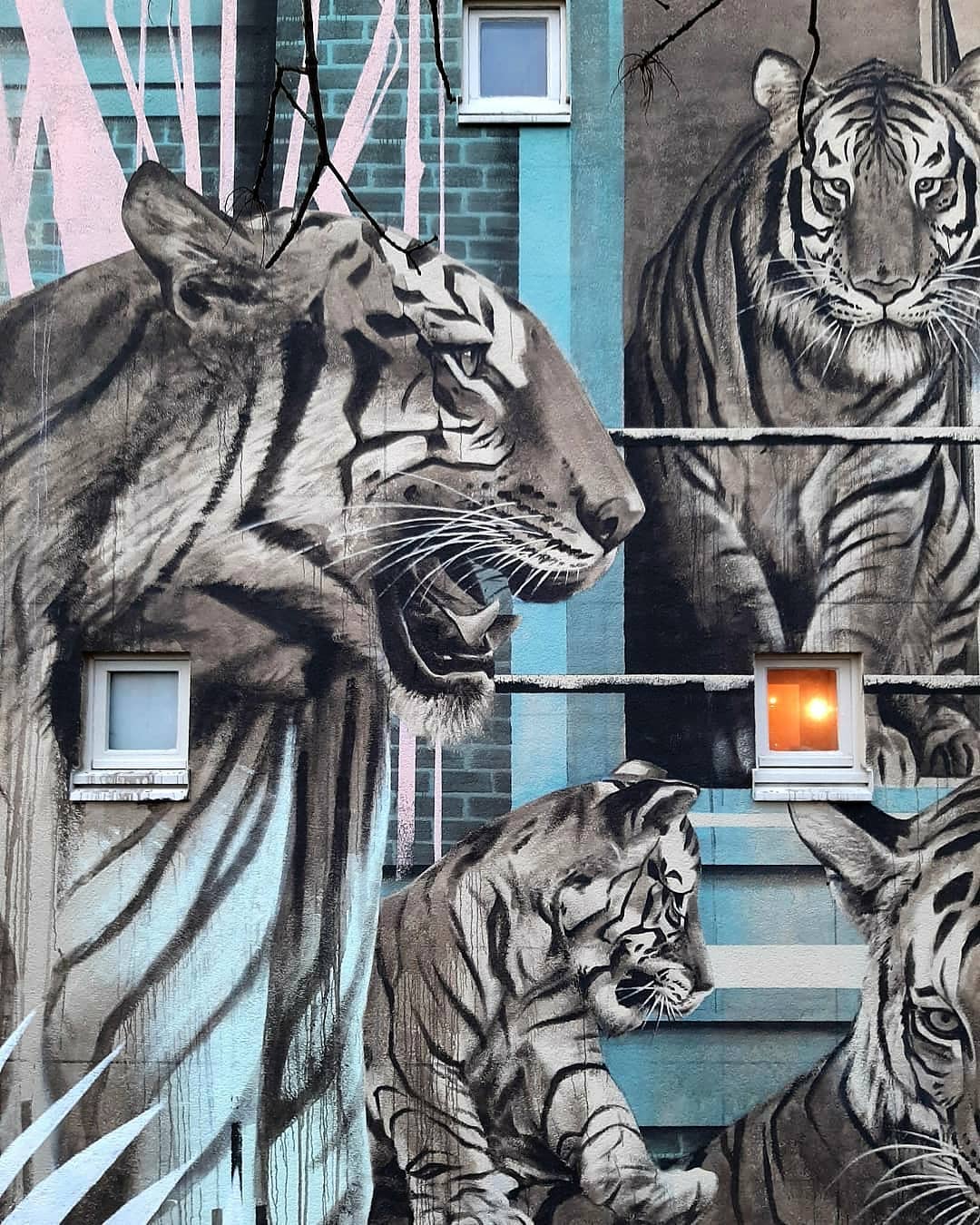 Sidney Waerts @ Amsterdam, Netherlands