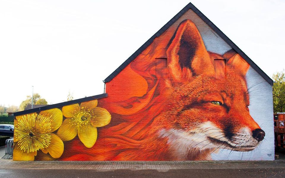 TUZQ @ Scherpenheuvel-Zichem, Belgium