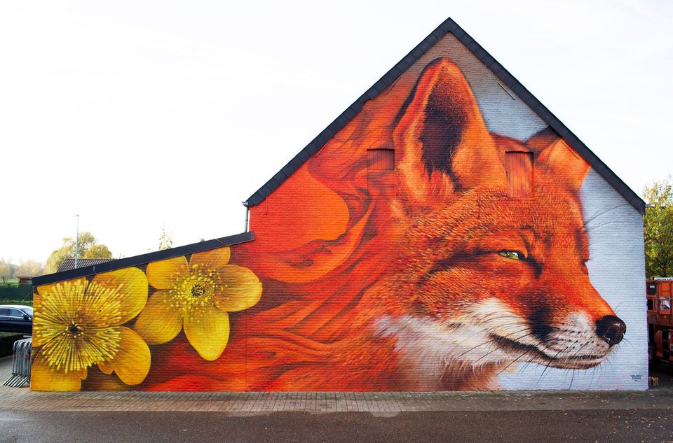 TUZQ @ Scherpenheuvel-Zichem, Belgium