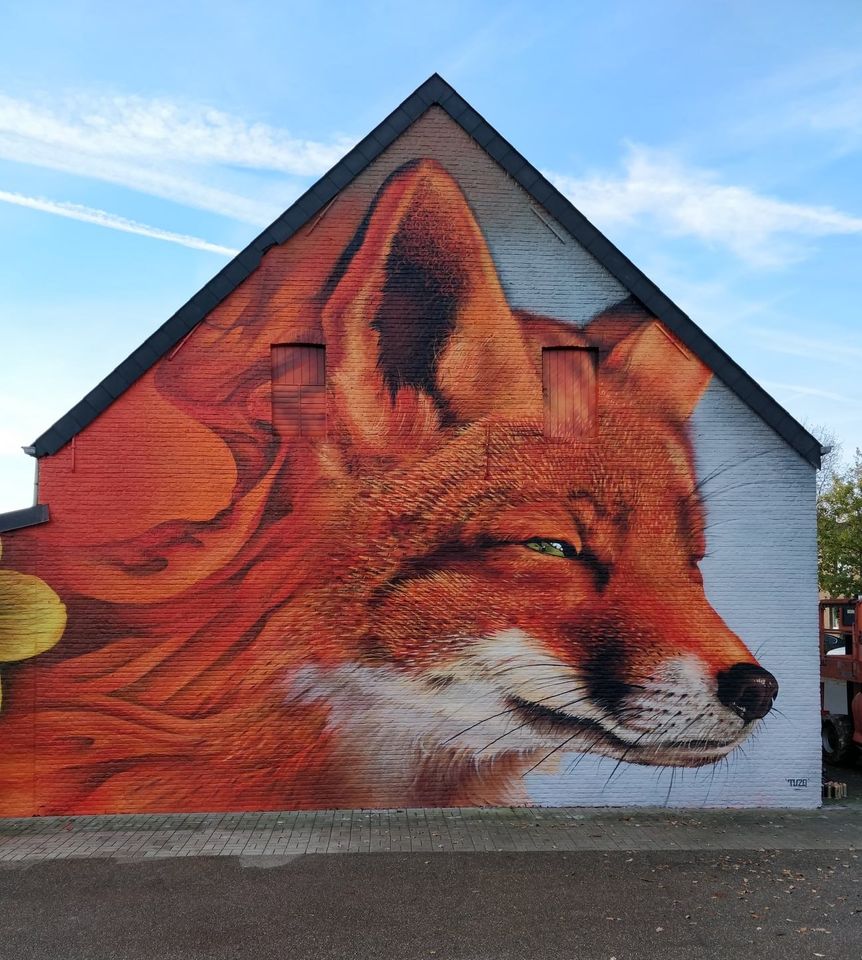 TUZQ @ Scherpenheuvel-Zichem, Belgium