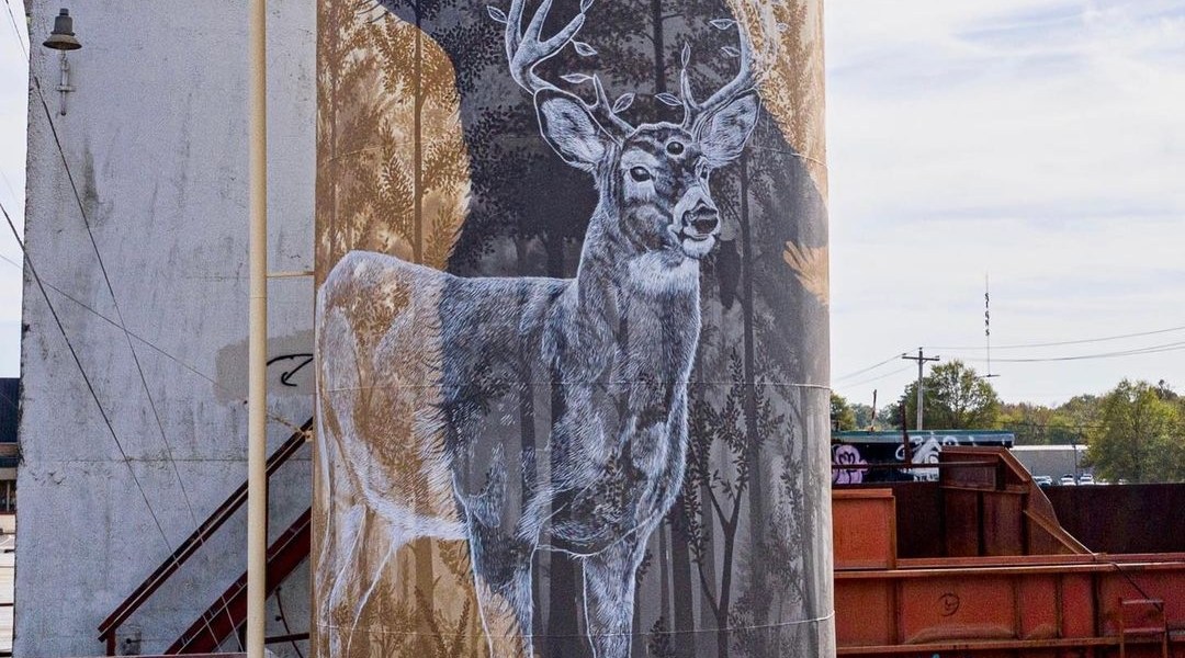 Alexis Diaz @ Conway, USA