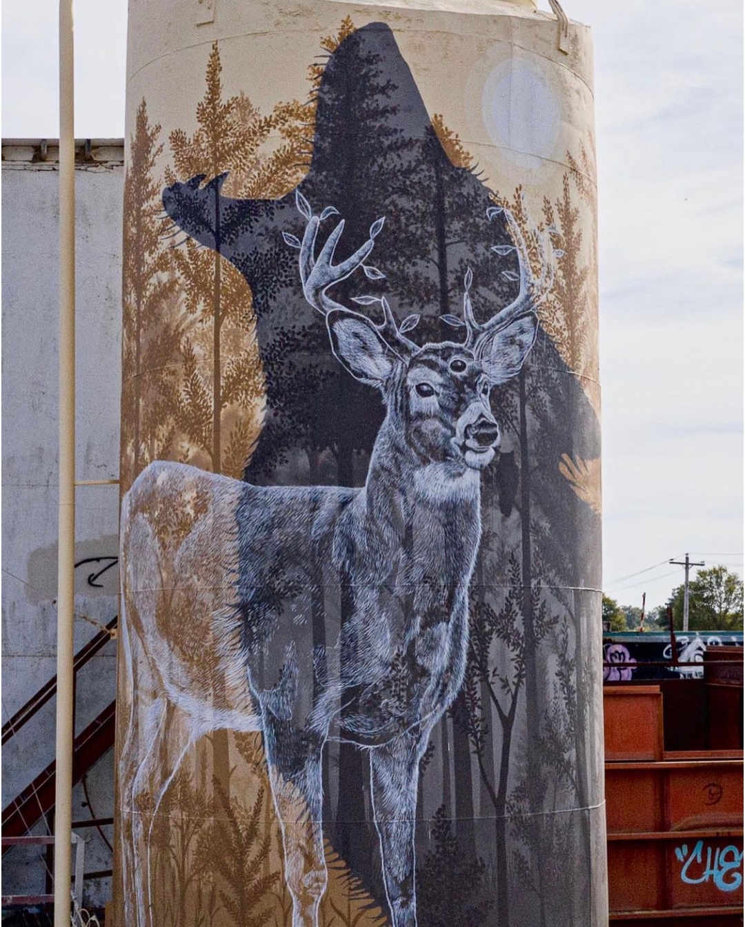 Alexis Diaz @ Conway, USA