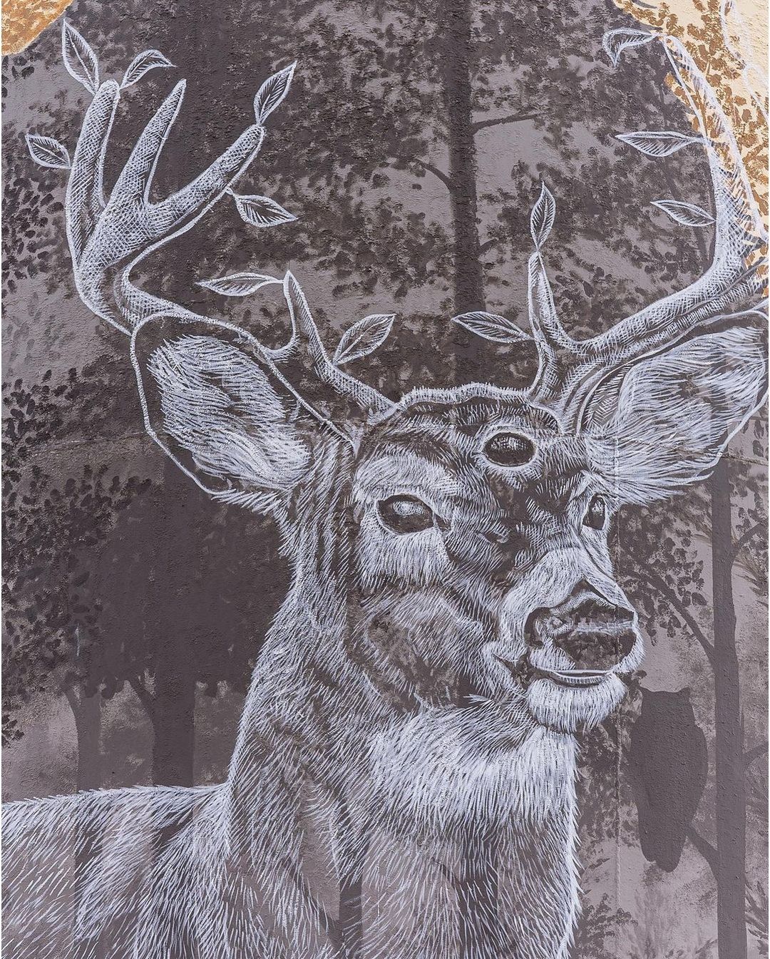 Alexis Diaz @ Conway, USA