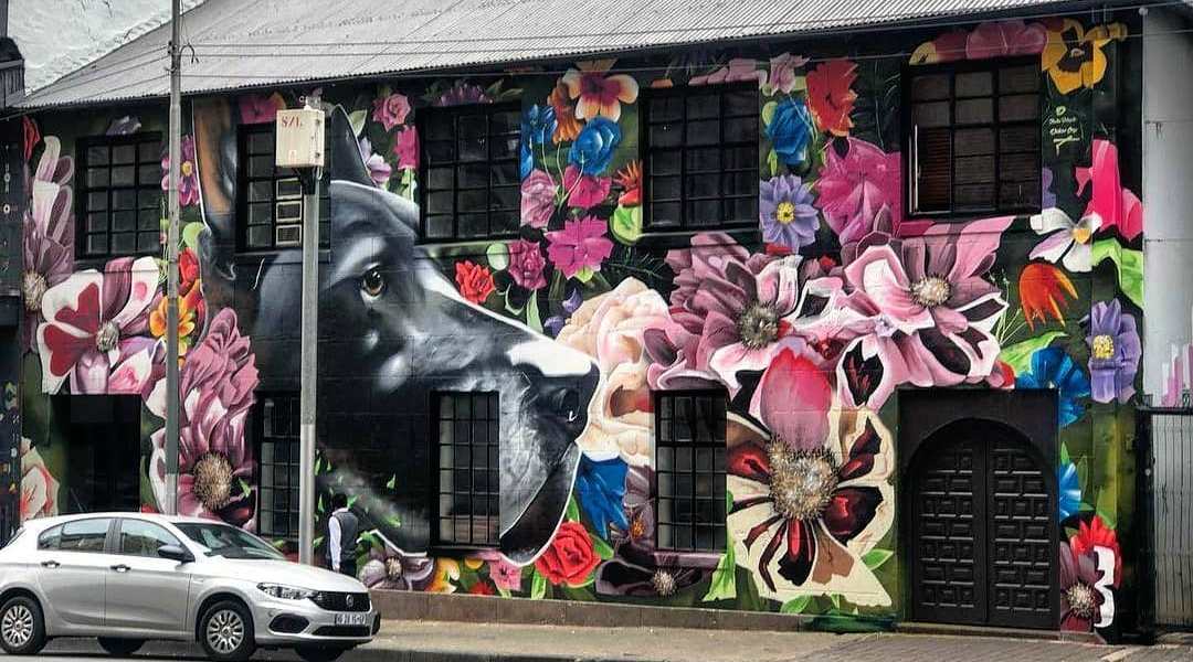 Dekor One @ Johannesburg, South Africa