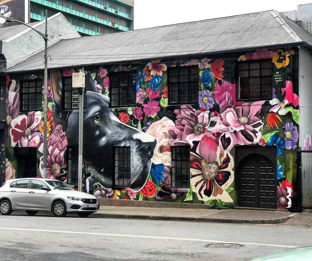 Dekor One @ Johannesburg, South Africa Dekor One @ Johannesburg, South Africa