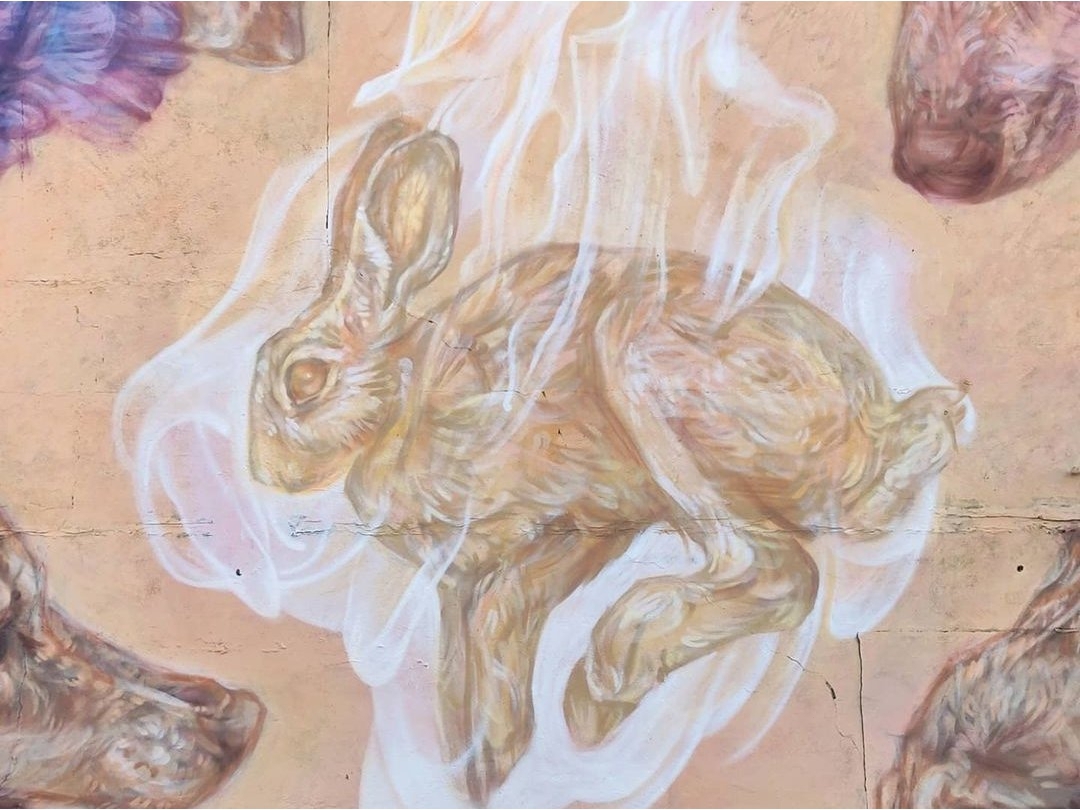 Emily Ding @ Houston, USA