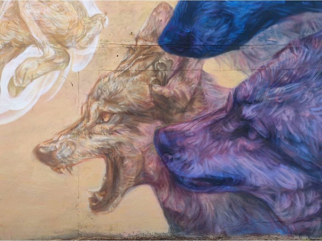 Emily Ding @ Houston, USA