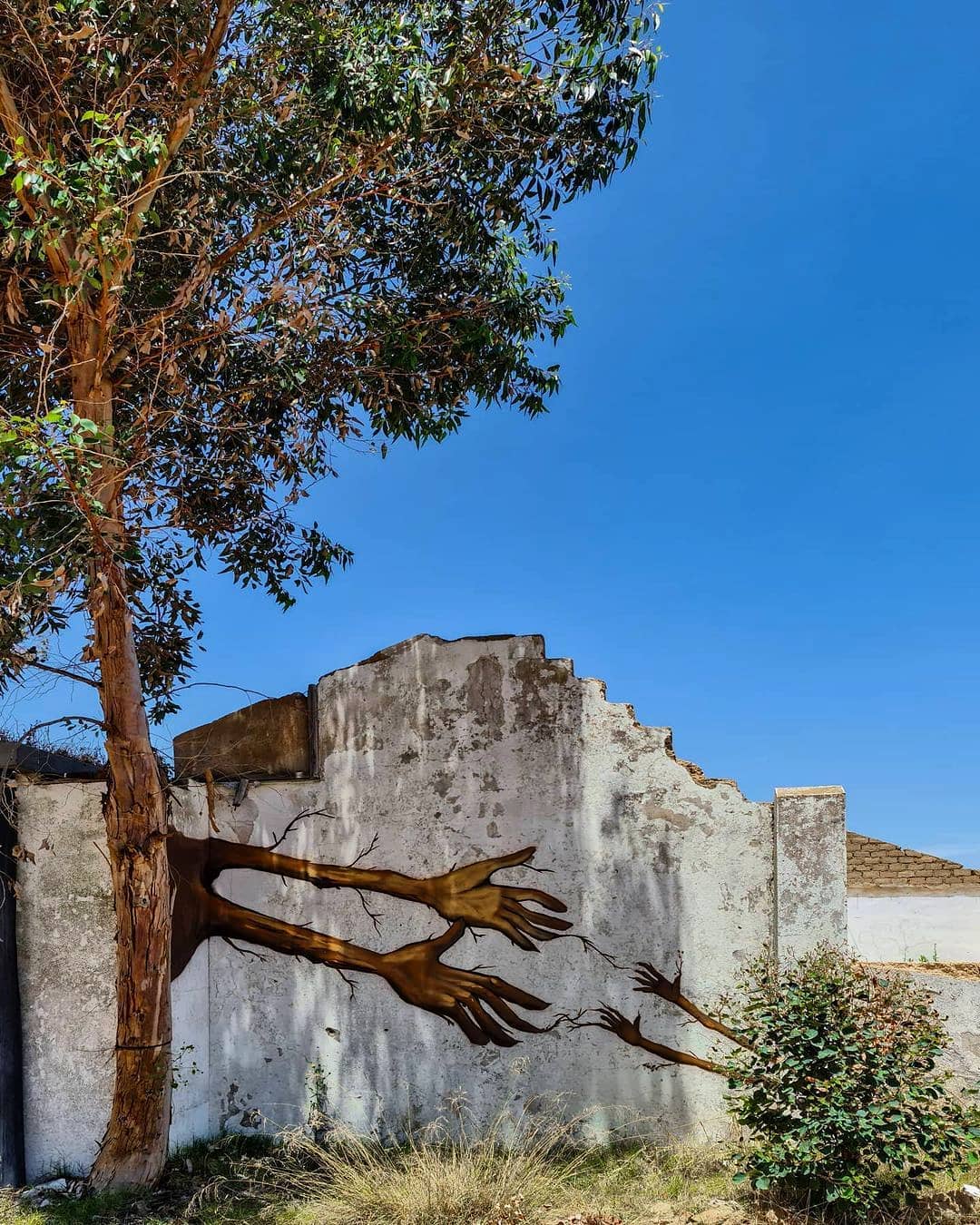 Falko one @ Riebeek West, South Africa